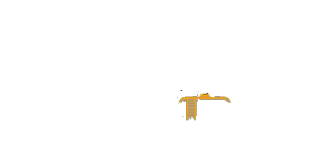 AMC Multiservices & Supplies SA de CV